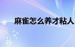 麻雀怎么养才粘人 养麻雀粘人的方法