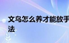 文鸟怎么养才能放手上 养文鸟能放手上的方法