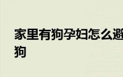 家里有狗孕妇怎么避免 孕妇怎么避免家里有狗