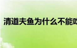 清道夫鱼为什么不能吃 清道夫不能吃的原因