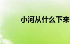 小河从什么下来造句 写下来造句