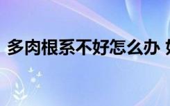 多肉根系不好怎么办 如何解决多肉根系不好