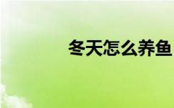 冬天怎么养鱼 冬天养鱼方法