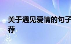 关于遇见爱情的句子 关于遇见爱情的句子推荐