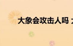 大象会攻击人吗 大象会不会攻击人