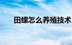 田螺怎么养殖技术 田螺如何养殖技术