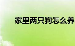 家里两只狗怎么养 家里两只狗如何养