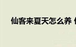 仙客来夏天怎么养 仙客来夏天养植方法