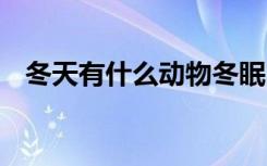 冬天有什么动物冬眠 冬天有哪些动物冬眠