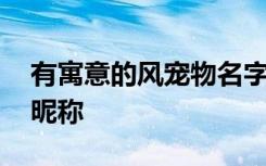 有寓意的风宠物名字 有哪些有寓意的风宠物昵称