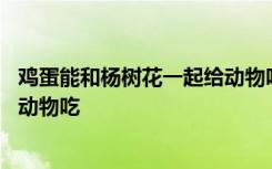 鸡蛋能和杨树花一起给动物吃吗 鸡蛋能不能和杨树花一起给动物吃