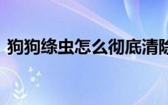 狗狗绦虫怎么彻底清除 狗狗绦虫的清除技巧