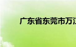 广东省东莞市万江艺林小学怎么样