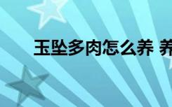 玉坠多肉怎么养 养殖玉坠多肉的教程