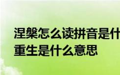 涅槃怎么读拼音是什么涅槃是什么意思 涅槃重生是什么意思