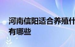 河南信阳适合养殖什么 河南信阳适合养殖的有哪些