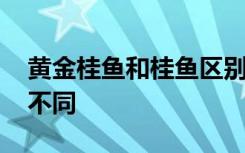 黄金桂鱼和桂鱼区别 黄金桂鱼和桂鱼有哪些不同