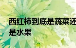 西红柿到底是蔬菜还是水果 西红柿是蔬菜还是水果