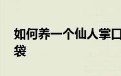 如何养一个仙人掌口袋 怎样养一个仙人掌口袋