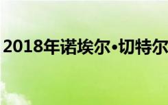 2018年诺埃尔·切特尔纪念艺术奖展览获奖者