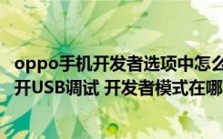 oppo手机开发者选项中怎么调试usb 华为荣耀6手机如何打开USB调试 开发者模式在哪