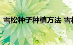 雪松种子种植方法 雪松种子种植方法是什么