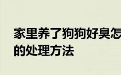 家里养了狗狗好臭怎么办 家里养了狗狗好臭的处理方法