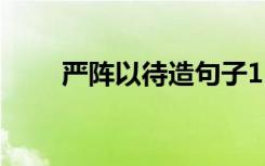 严阵以待造句子15字 严阵以待造句