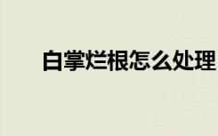 白掌烂根怎么处理 白掌烂根如何解决