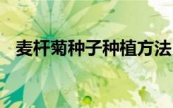 麦杆菊种子种植方法 麦杆菊种子如何种植