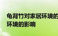 龟背竹对家居环境的影响 盘点龟背竹对家居环境的影响