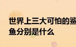 世界上三大可怕的鲨鱼 世界上三大可怕的鲨鱼分别是什么