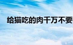 给猫吃的肉千万不要煮 喂生肉的注意事项