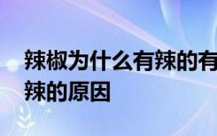 辣椒为什么有辣的有不辣的 辣椒有辣的有不辣的原因