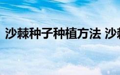 沙棘种子种植方法 沙棘种子种植方法是什么