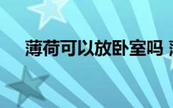 薄荷可以放卧室吗 薄荷可不可以放卧室