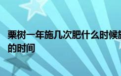 栗树一年施几次肥什么时候施肥 栗树一年施几次肥以及施肥的时间