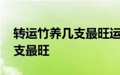 转运竹养几支最旺运放在神台 转运竹养多少支最旺