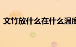 文竹放什么在什么温度下能养好 养文竹方法