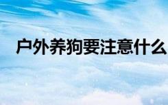 户外养狗要注意什么 户外养狗的注意事项