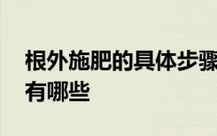 根外施肥的具体步骤方法 根外施肥常用肥料有哪些