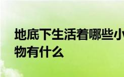 地底下生活着哪些小动物 地底下生活的小动物有什么