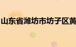 山东省潍坊市坊子区黄旗堡镇逄王小学怎么样