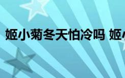 姬小菊冬天怕冷吗 姬小菊冬季越冬方法分享