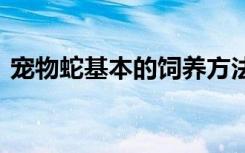 宠物蛇基本的饲养方法 宠物蛇基本怎么饲养