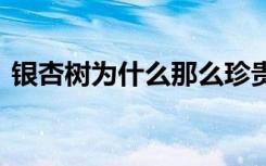 银杏树为什么那么珍贵 银杏树为何那么珍贵