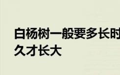 白杨树一般要多长时间长大 白杨树一般要多久才长大