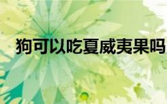 狗可以吃夏威夷果吗 狗适合吃夏威夷果吗