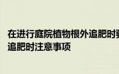 在进行庭院植物根外追肥时要注意哪些 在进行庭院植物根外追肥时注意事项