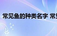 常见鱼的种类名字 常见鱼的种类名字的介绍